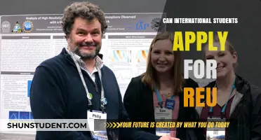 International Students: Can They Apply for REU?