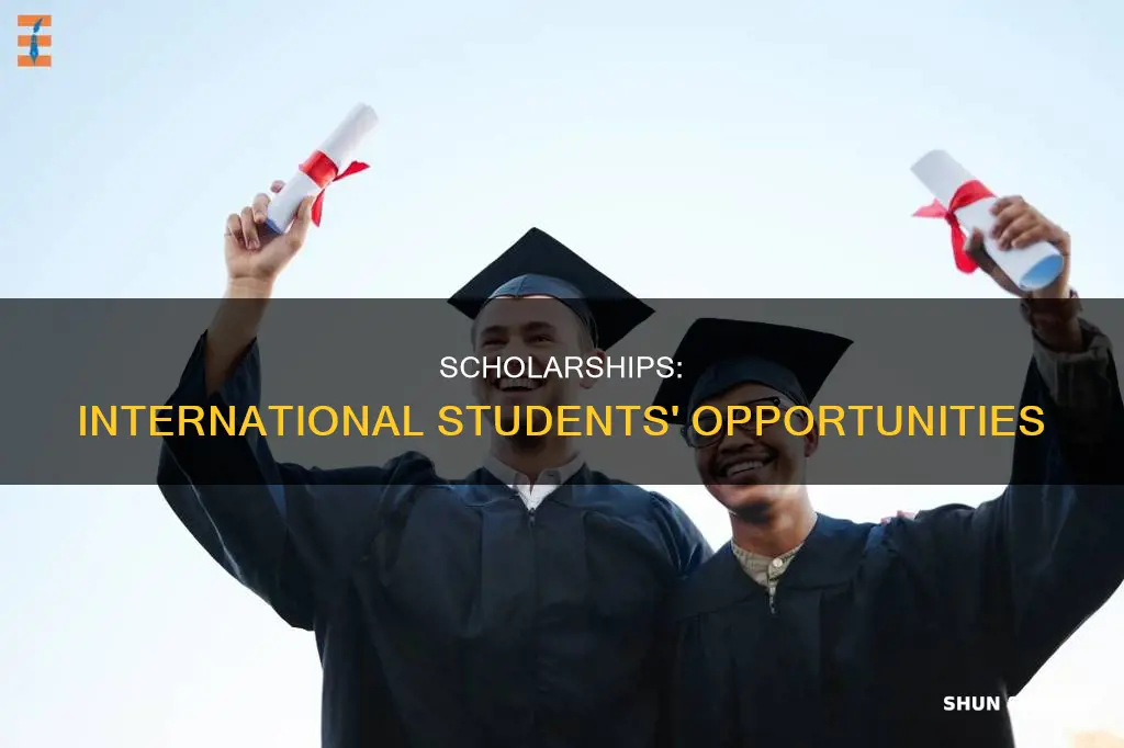 can international students apply for scholarships