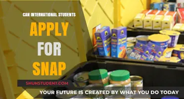 International Students: SNAP Benefits and Your Eligibility