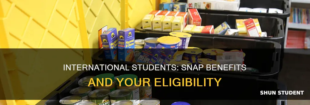 can international students apply for snap