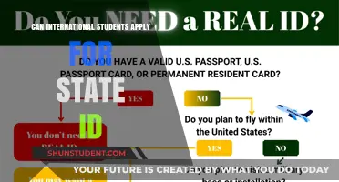International Students: State IDs and What You Need to Know