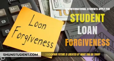 International Students: Loan Forgiveness Eligibility