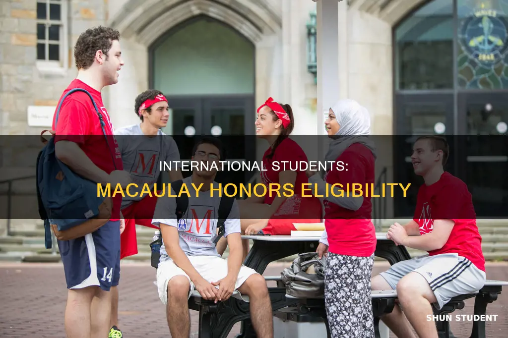 can international students apply for the macaulay honors program