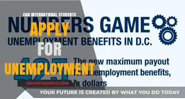 Unemployment Benefits for International Students: Who's Eligible?
