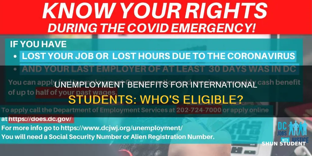 can international students apply for unemployment