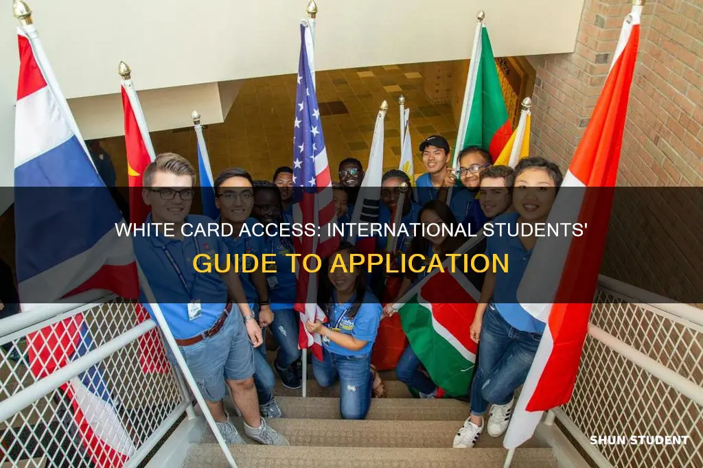 can international students apply for white card