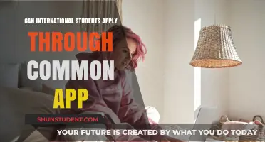 International Students: Common App Application Guide