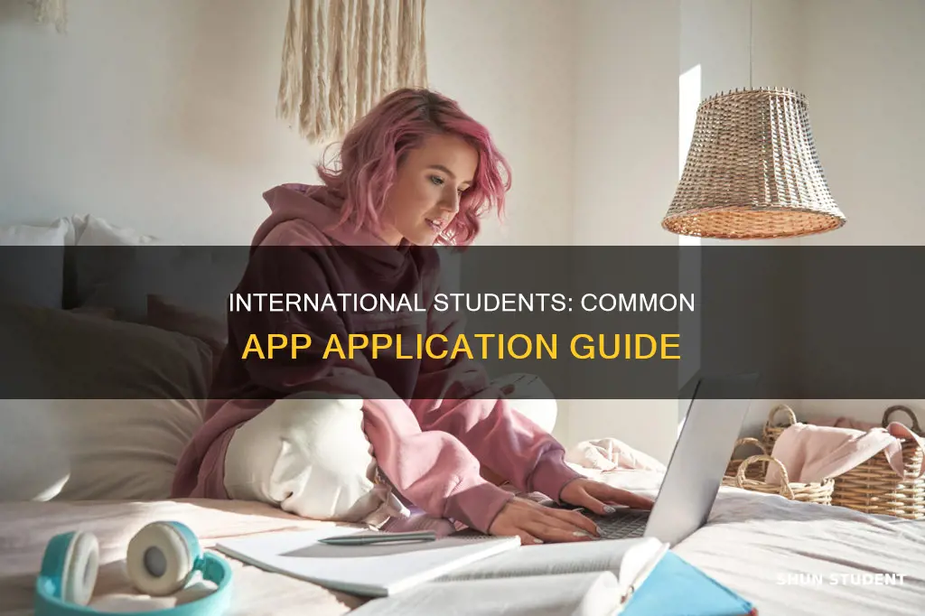 can international students apply through common app
