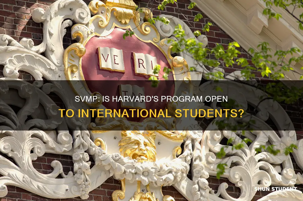 can international students apply to harvard