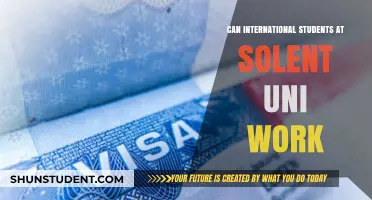 Working While Studying: Options for Solent Uni International Students