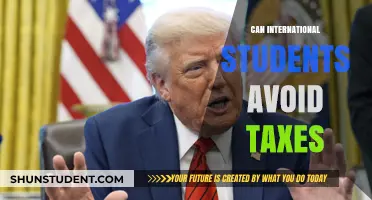 International Students: How to Navigate Tax Laws