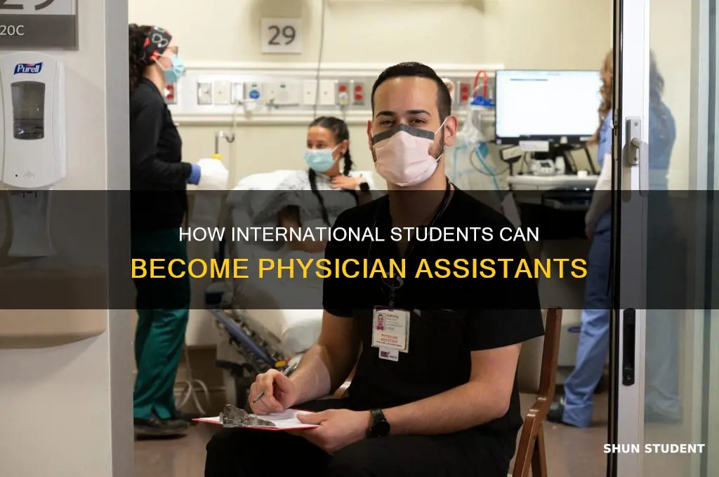 can international students be a physician assistant