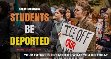 Understanding Deportation: Risks for International Students