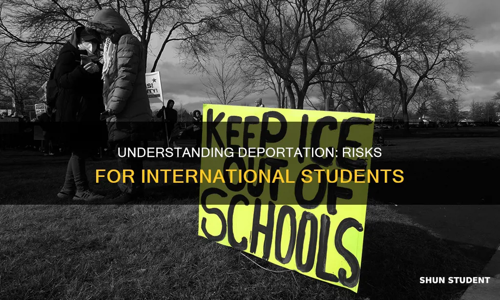 can international students be deported