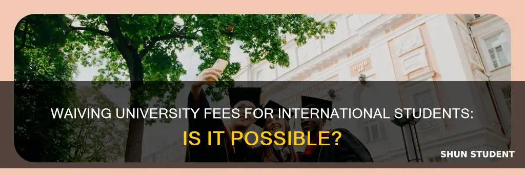 can international students be fee waivers