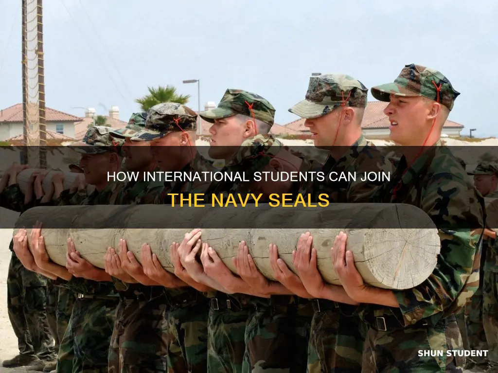 can international students be in the navy seal