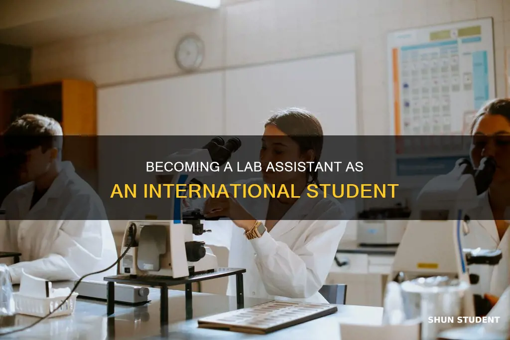 can international students be lab assistant
