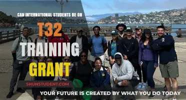 International Students: T32 Training Grant Eligibility