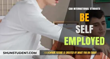 Self-Employment Options for International Students
