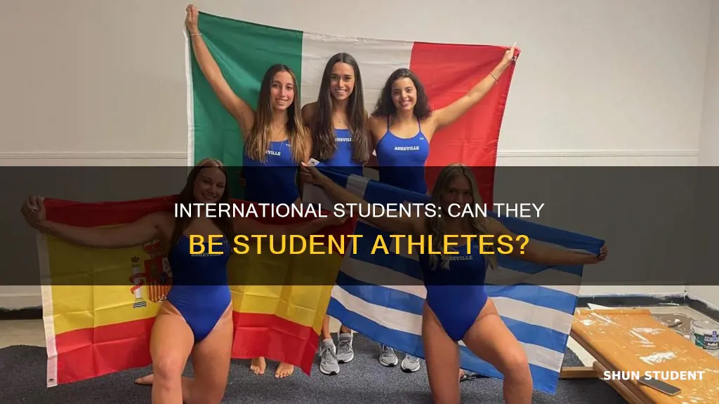 can international students be student athletes