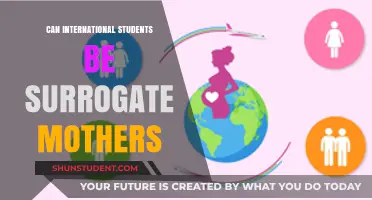 Exploring Surrogacy Options for International Students