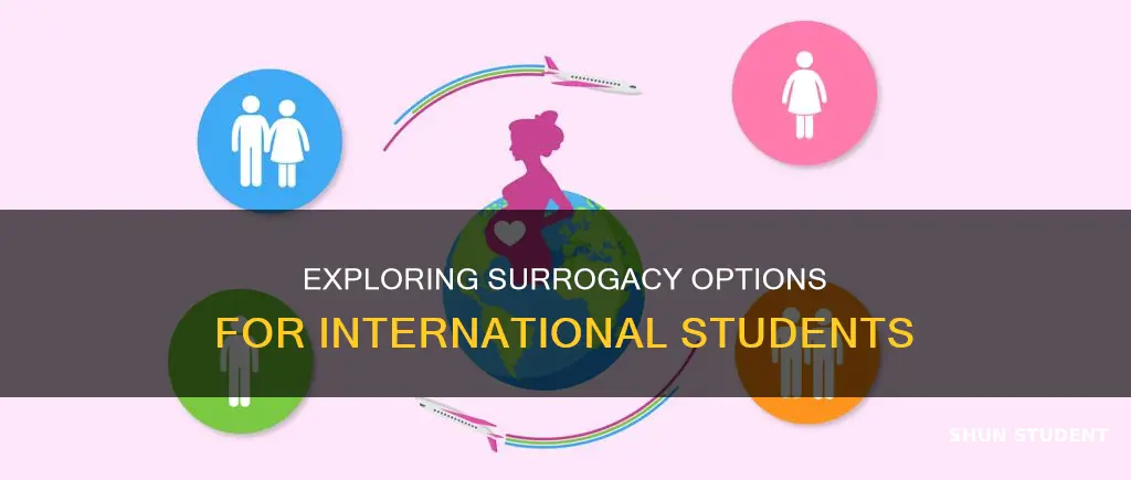 can international students be surrogate mothers