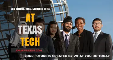 International TAs at Texas Tech: What You Need to Know
