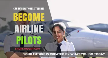 Becoming an Airline Pilot: International Student Opportunities