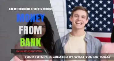 Borrowing Money: Options for International Students