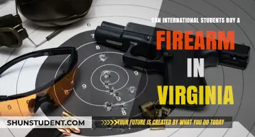 International Students and Gun Ownership in Virginia
