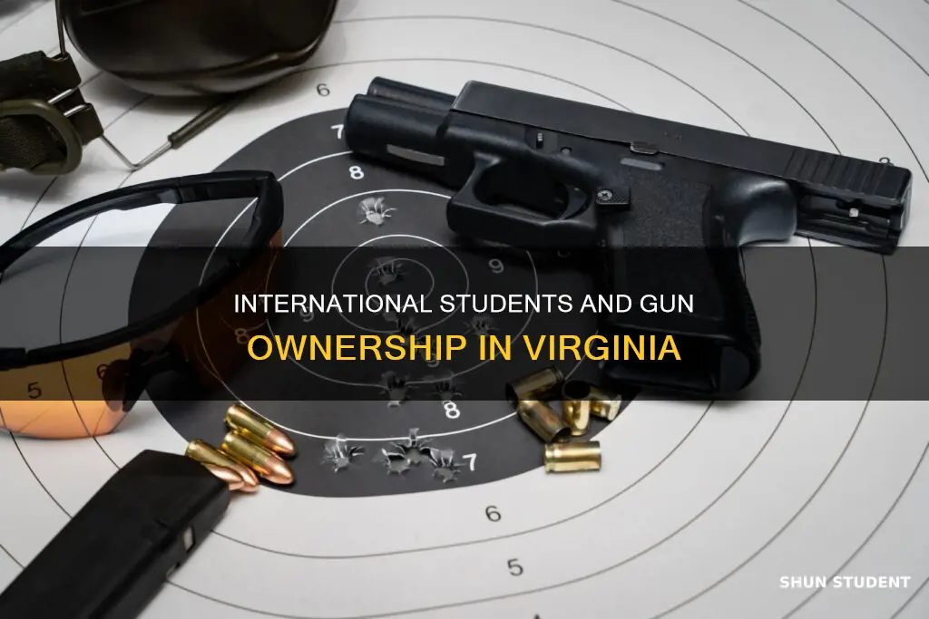 can international students buy a firearm in virginia