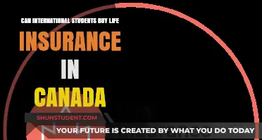 Life Insurance Options for International Students in Canada