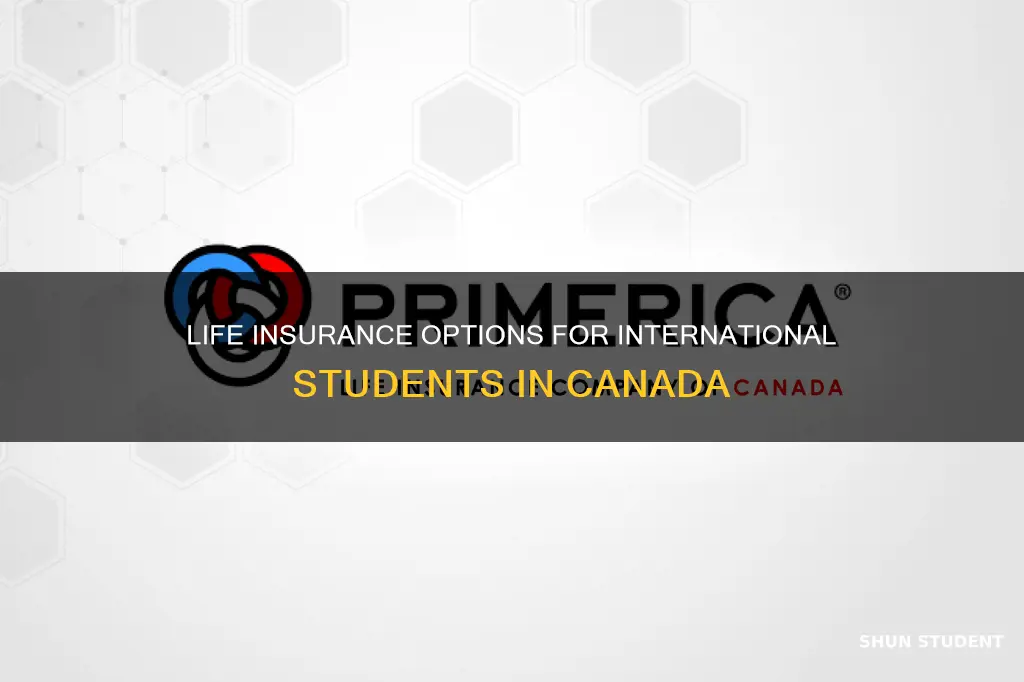 can international students buy life insurance in canada