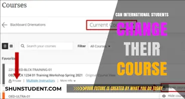 Switching Courses: Options for International Students