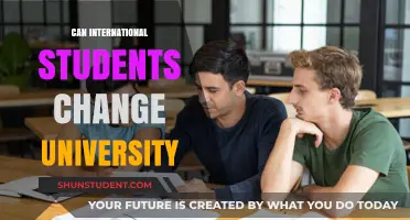 Switching Universities: Options for International Students