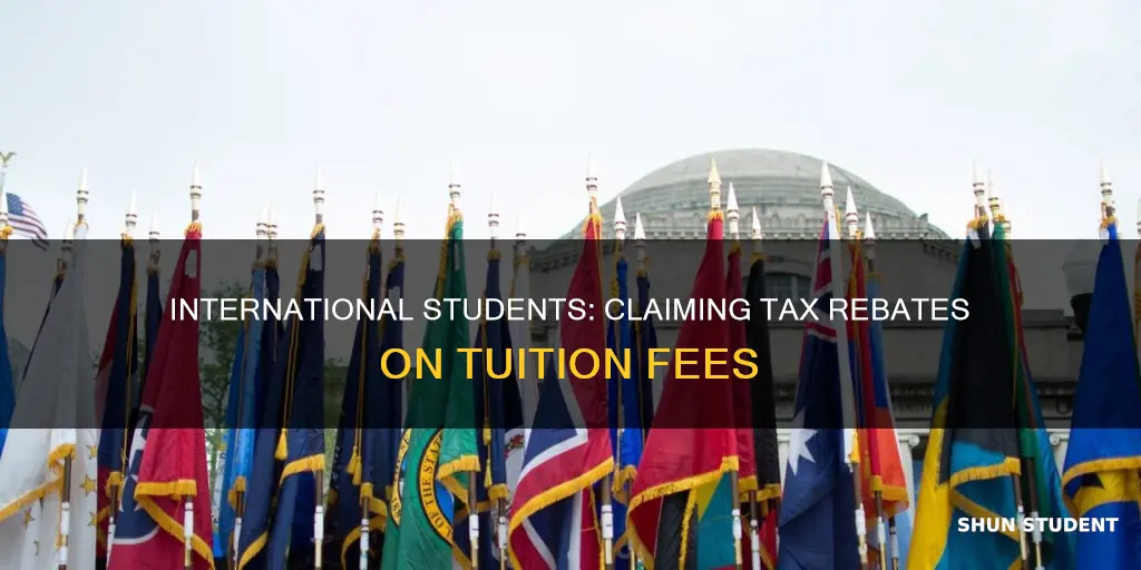 can international students claim tax rebate for tuition fee paid