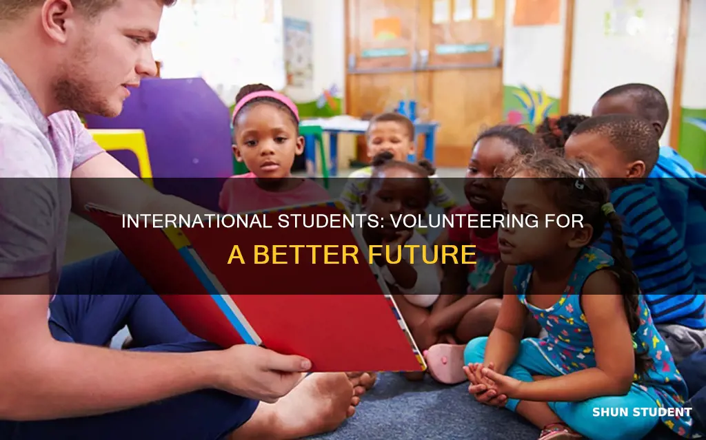 can international students do community service