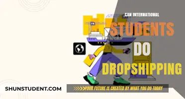 Dropshipping: A Viable Option for International Students?