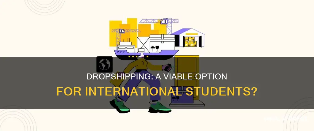 can international students do dropshipping