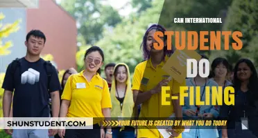 International Students: E-Filing Made Easy