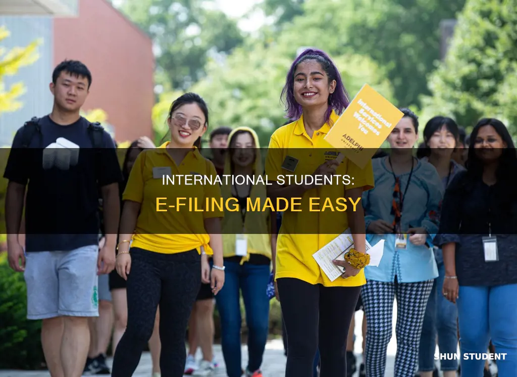 can international students do e-filing