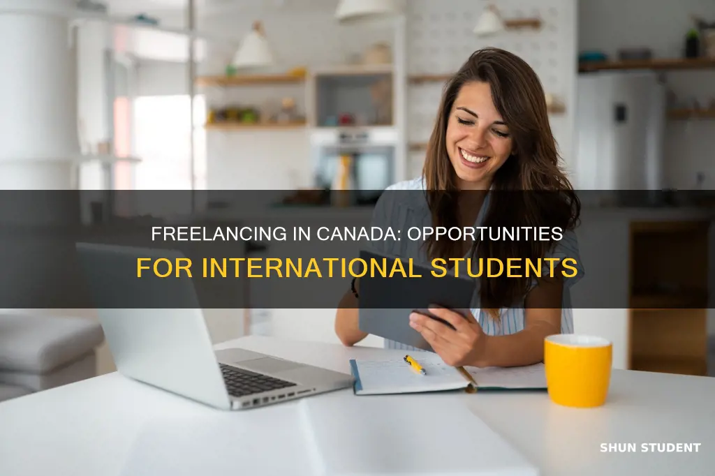 can international students do freelance work in canada