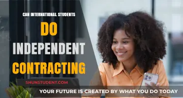 International Students: Freelancing and Contracting Options