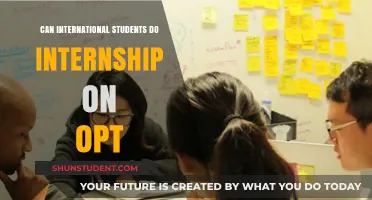 OPT Internships: International Students' Opportunities