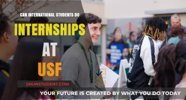 International Students: Internship Opportunities at USF