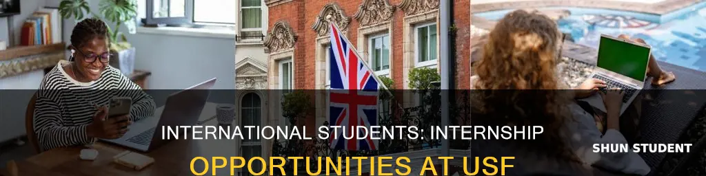 can international students do internships at usf