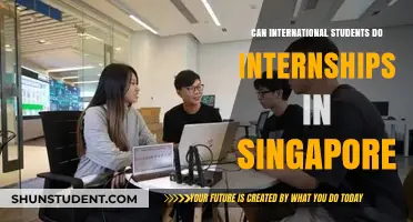 Internships in Singapore: Are Foreign Students Eligible?
