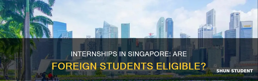can international students do internships in singapore