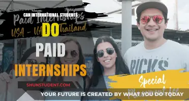 Paid Internships: International Students' Opportunities