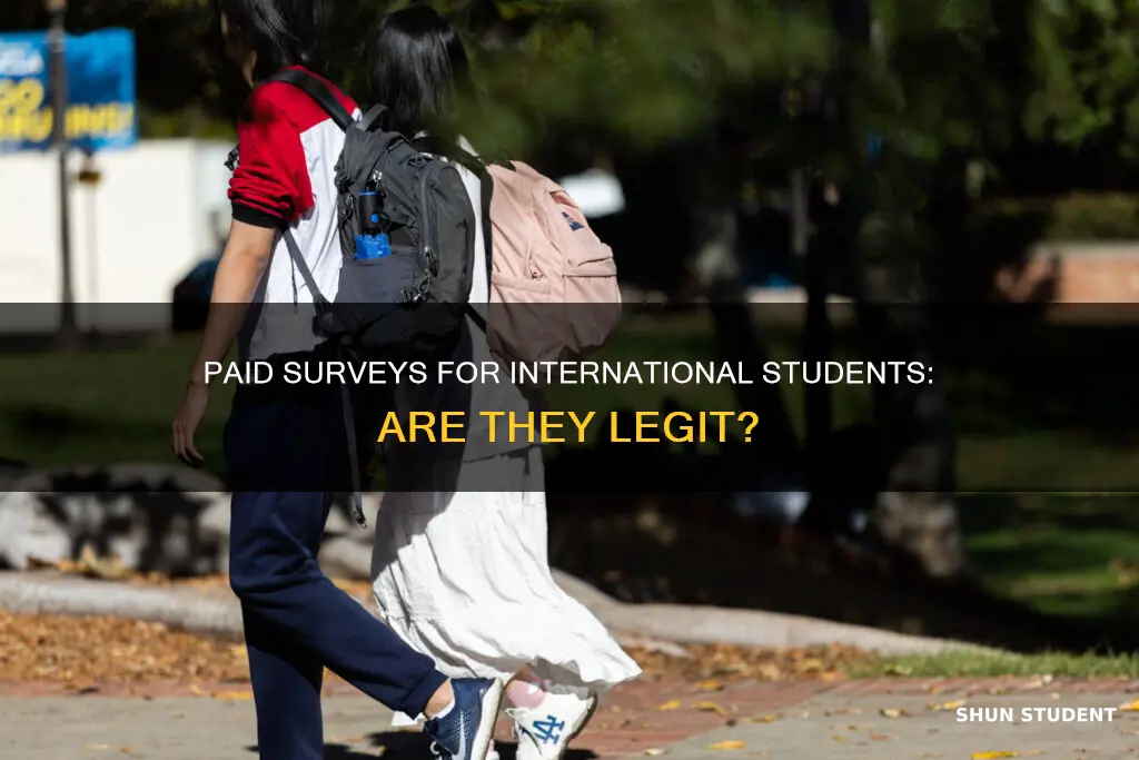 can international students do paid surveys